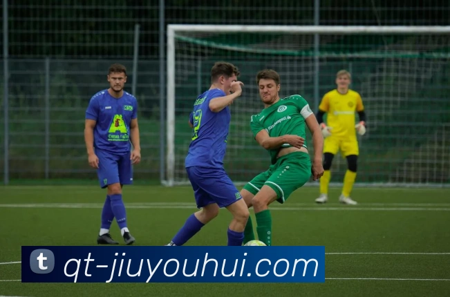 J9九游会官网平台生态图